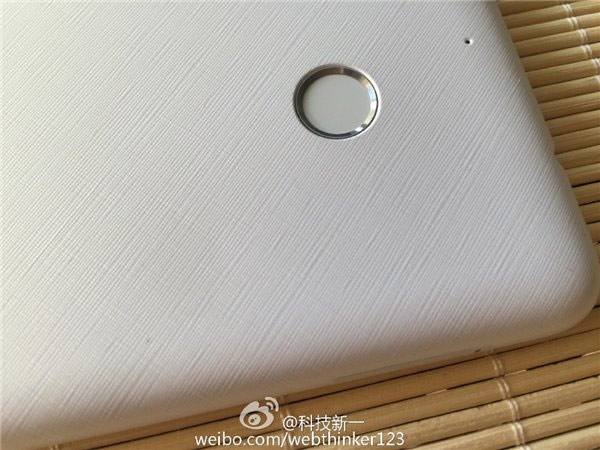 Pepper XiaoLaJiao NX