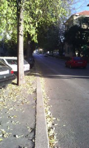 W718 foto