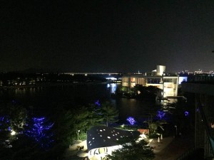 iPhone 6 Photo